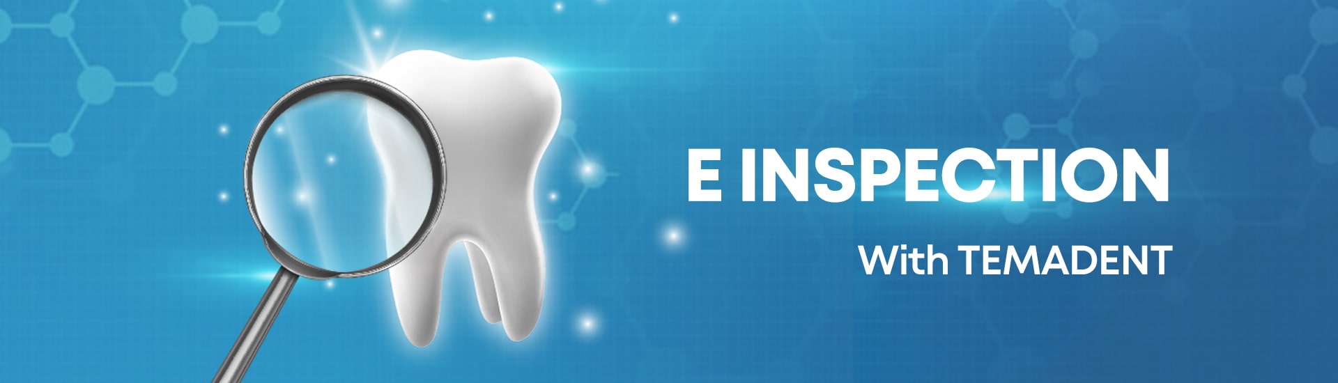 e-inspection-banner
